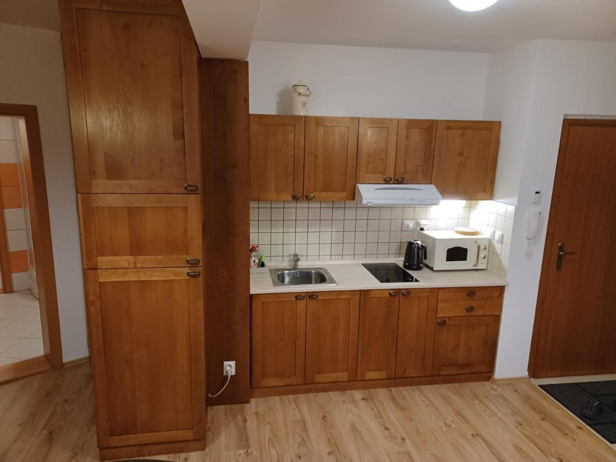 Apartman S Garazou Donovaly Centrum エクステリア 写真